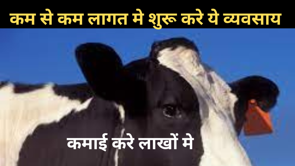 How to Start Dairy Business