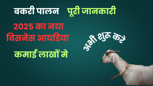 Goat Farming Business Plan