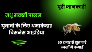 honey beekeeping business in india