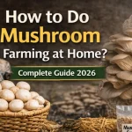 Ghar par mushroom farming kaise kare
