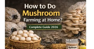 Ghar par mushroom farming kaise kare
